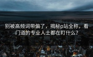 别被高频词带偏了，揭秘p站全称，看门道的专业人士都在盯什么？