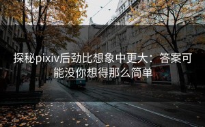 探秘pixiv后劲比想象中更大：答案可能没你想得那么简单