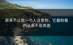 原来不止我一个人注意到，它最耐看的从来不是表面