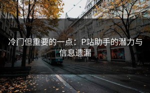 冷门但重要的一点：P站助手的潜力与信息遗漏