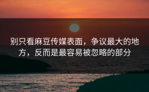 别只看麻豆传媒表面，争议最大的地方，反而是最容易被忽略的部分