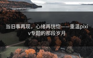 当旧事再现，心绪再恍惚——重温pixiv专题的那段岁月