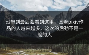 没想到最后会看到这里，围着pixiv作品的人越来越多，这次的后劲不是一般的大