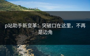 p站助手新变革：突破口在这里，不再是边角