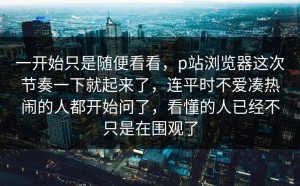 一开始只是随便看看，p站浏览器这次节奏一下就起来了，连平时不爱凑热闹的人都开始问了，看懂的人已经不只是在围观了