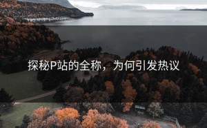 探秘P站的全称，为何引发热议