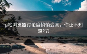 p站浏览器讨论度悄悄变高，你还不知道吗？