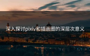 深入探讨pixiv和插画圈的深层次意义