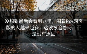 没想到最后会看到这里，围着P站网页版的人越来越多，这波被追着问，不是没有原因