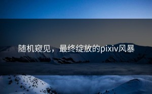 随机窥见，最终绽放的pixiv风暴