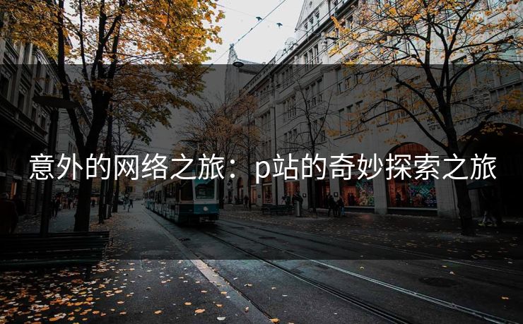 意外的网络之旅：p站的奇妙探索之旅