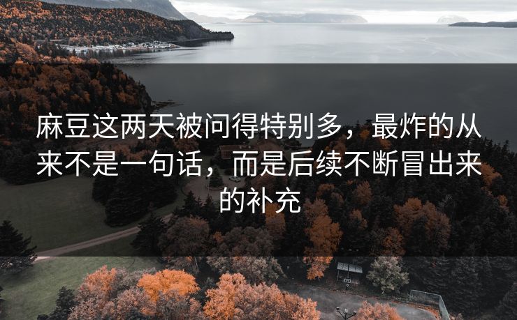 麻豆这两天被问得特别多，最炸的从来不是一句话，而是后续不断冒出来的补充