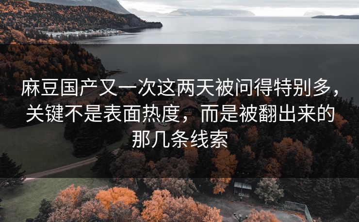 麻豆国产又一次这两天被问得特别多,关键不是表面热度,而是被翻出来的那几条线索 麻豆国产又一次这两天被问得特别多,关键不是表面热度,而是被翻出来的那几条线索