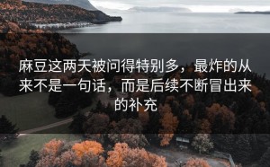 麻豆这两天被问得特别多，最炸的从来不是一句话，而是后续不断冒出来的补充