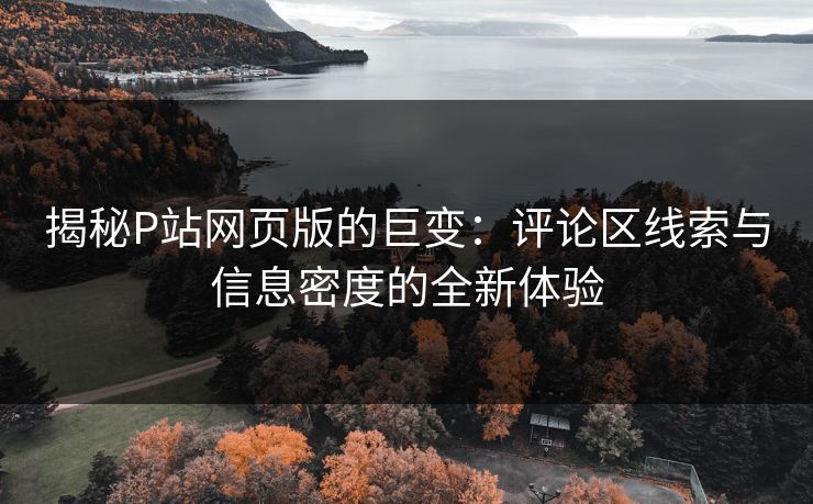 揭秘P站网页版的巨变:评论区线索与信息密度的全新体验 揭秘P站网页版的巨变:评论区线索与信息密度的全新体验